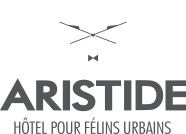 Aristide - Hôtel pour félins urbains